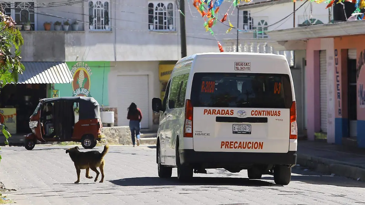 WhatsApp Image 2025-11-05 at 19.37.08