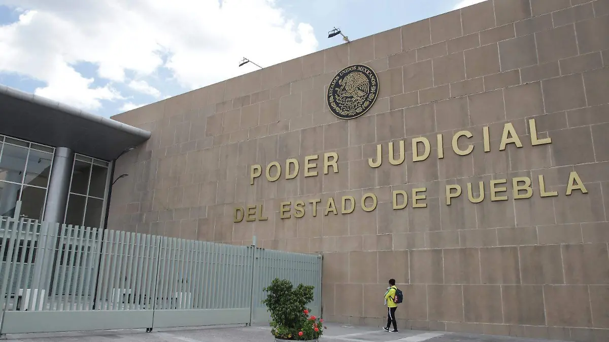 WhatsApp Image 2025-11-09 at 17.54.22