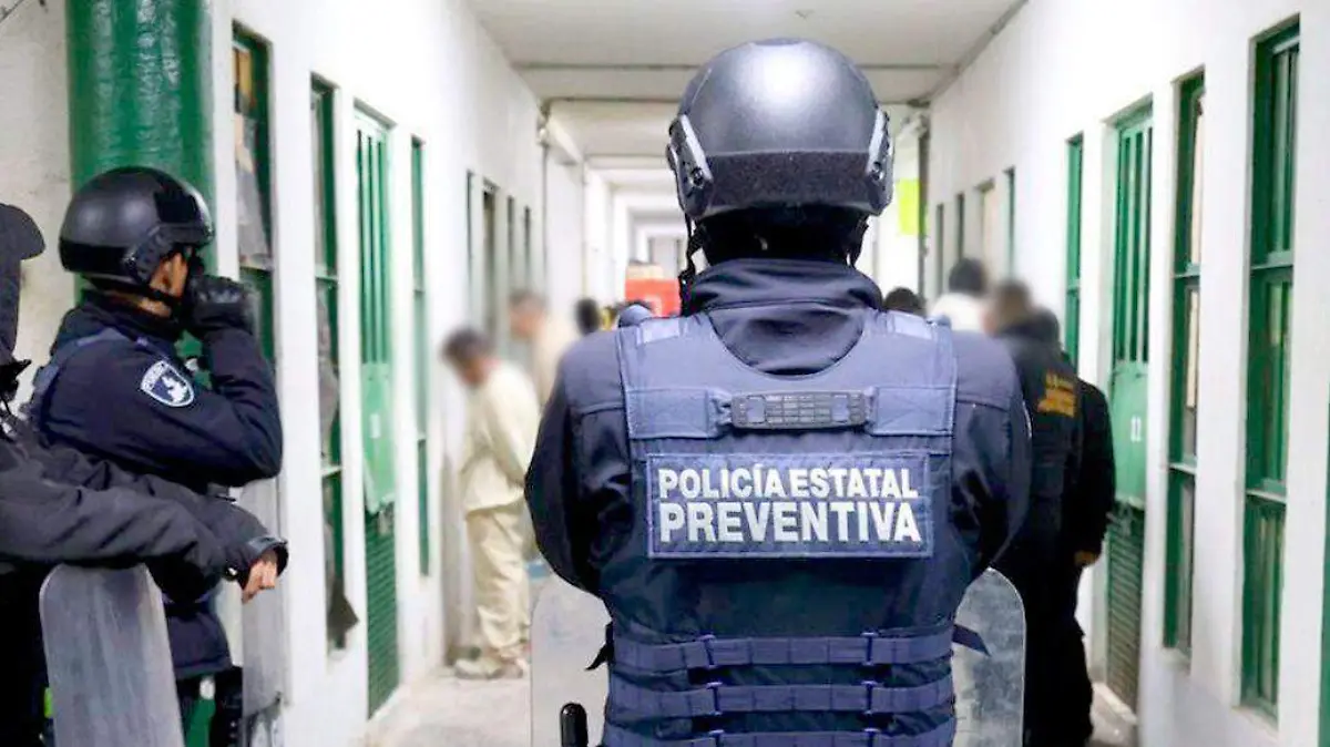 WhatsApp Image 2025-11-12 at 2.24.36 PM