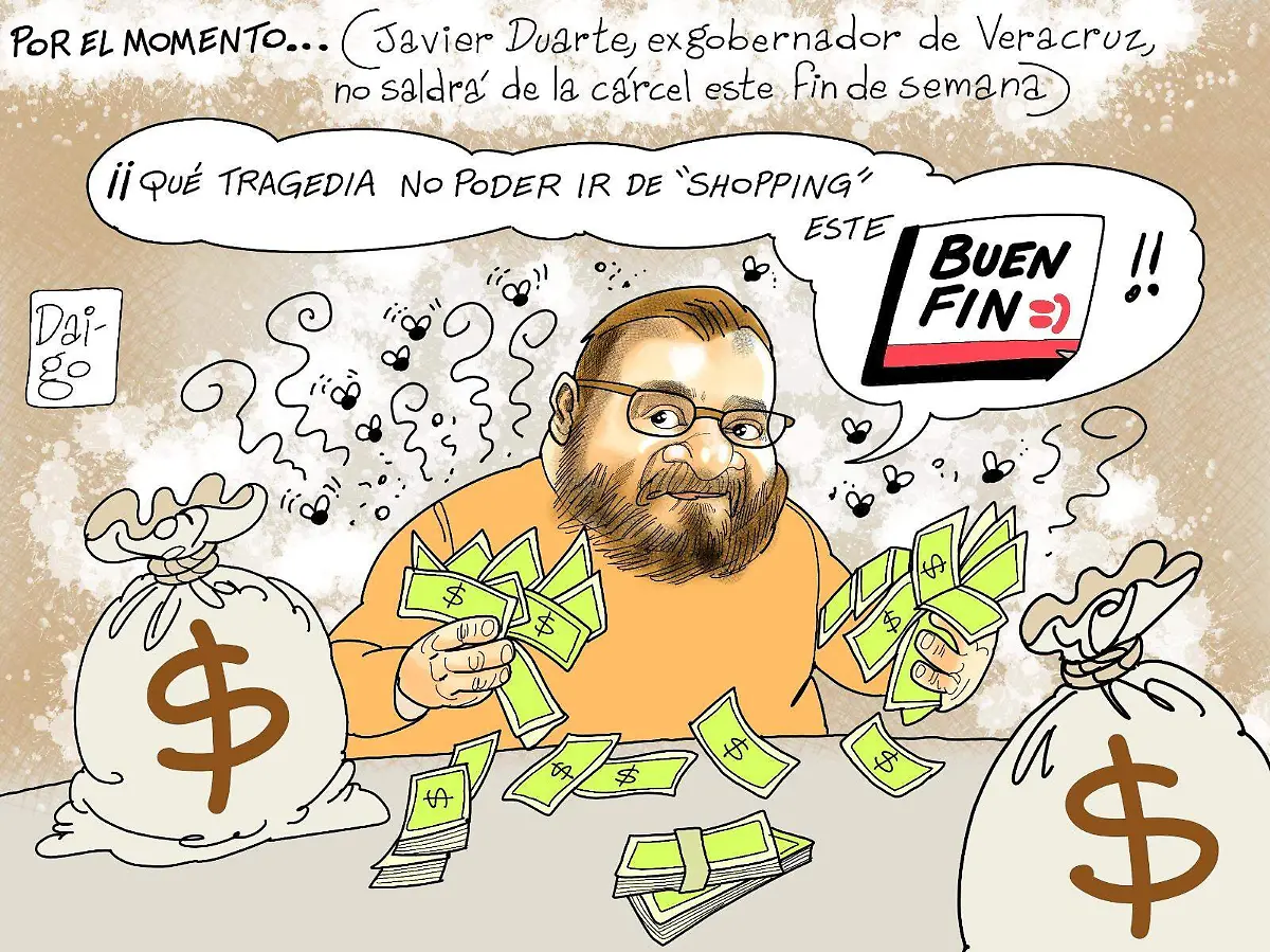 WhatsApp Image 2025-11-12 at 16.52.19