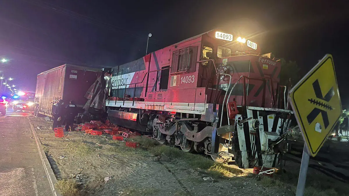 WhatsApp Image 2025-11-12 at 23.13.19