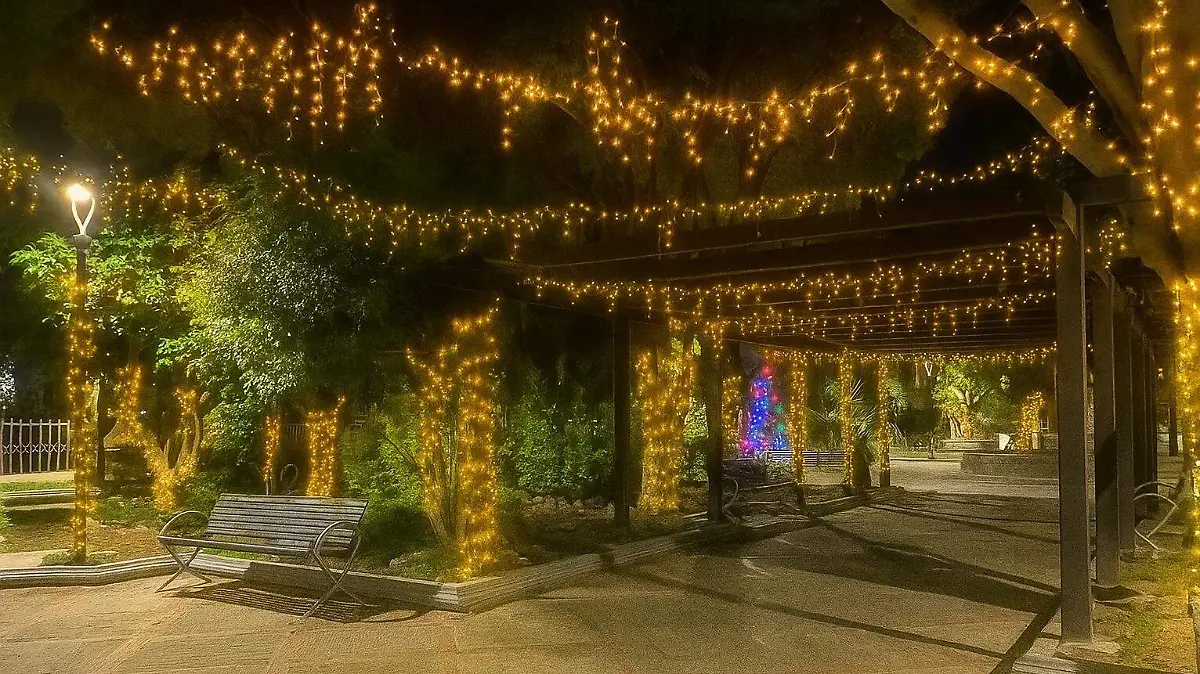 WhatsApp Image 2025-11-13 at 15.03.16