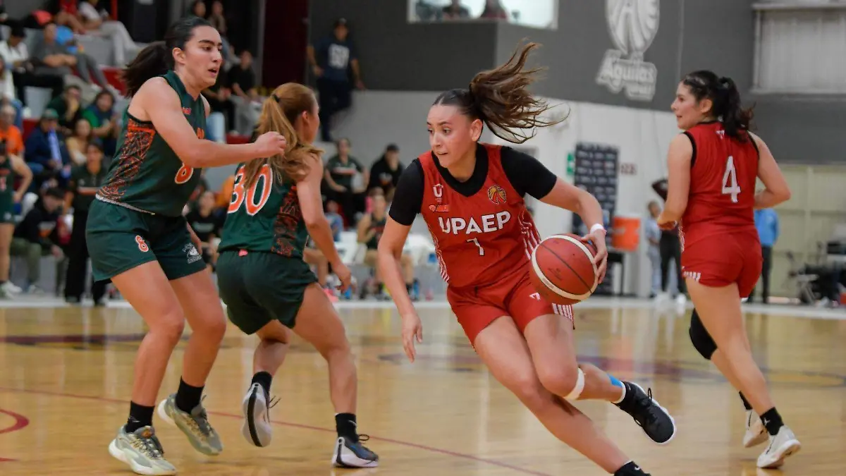 WhatsApp Image 2025-11-14 at 10.46.35 AM