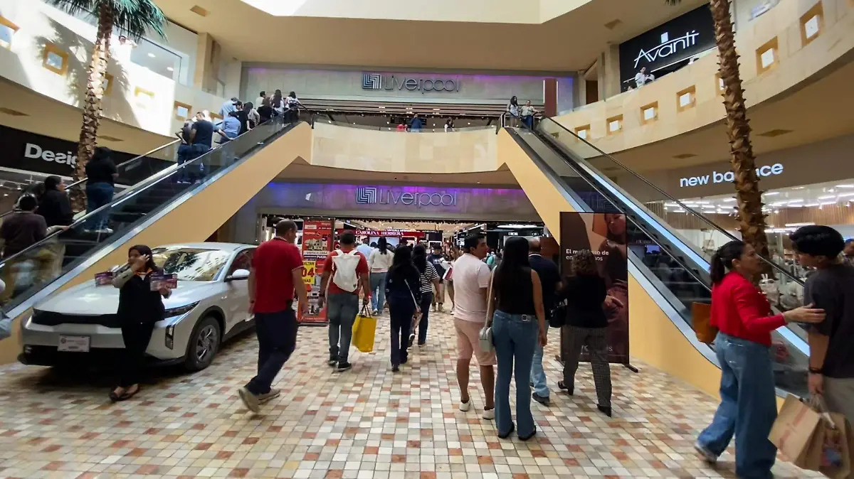 WhatsApp Image 2025-11-16 at 2.54.26 PM