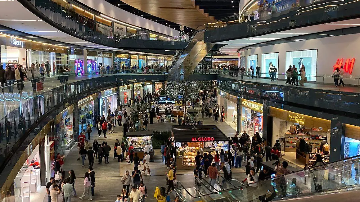 WhatsApp Image 2025-11-16 at 3.59.59 PM