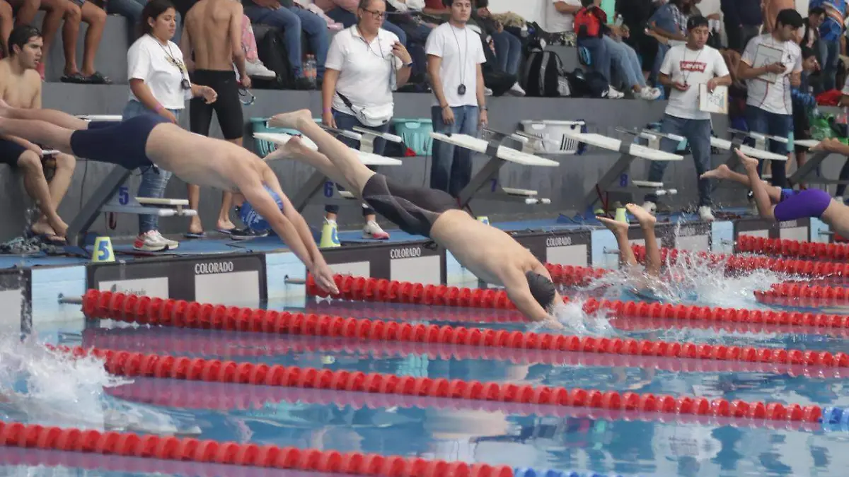 WhatsApp Image 2025-11-17 at 1.55.32 PM