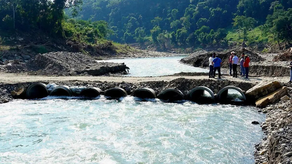 WhatsApp Image 2025-11-18 at 14.56.26