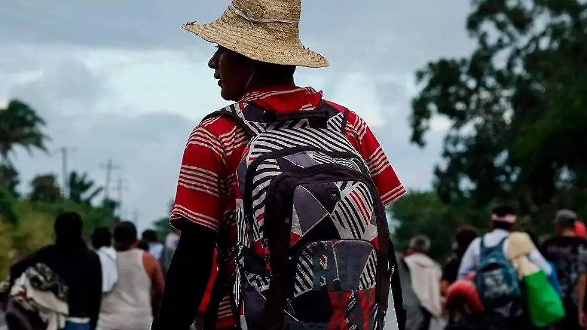 migrantes, hombre migrante con sombrero mirando el horizonte