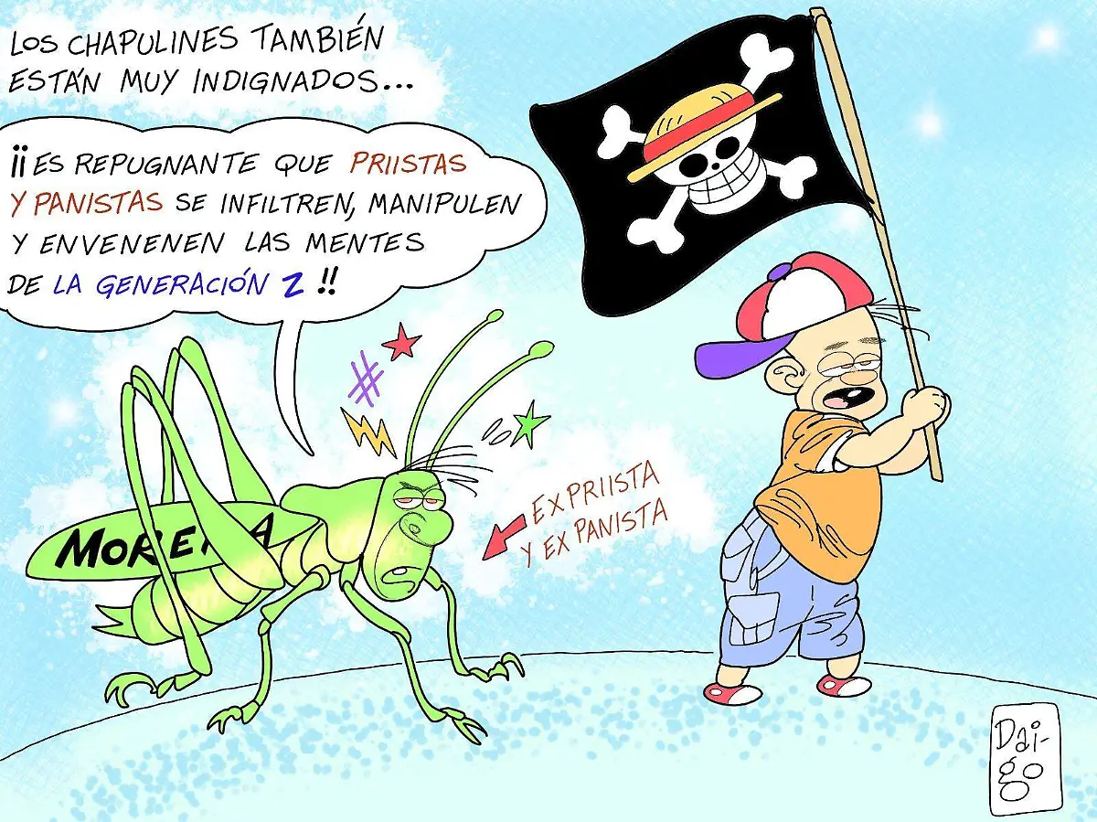 WhatsApp Image 2025-11-19 at 15.13.32