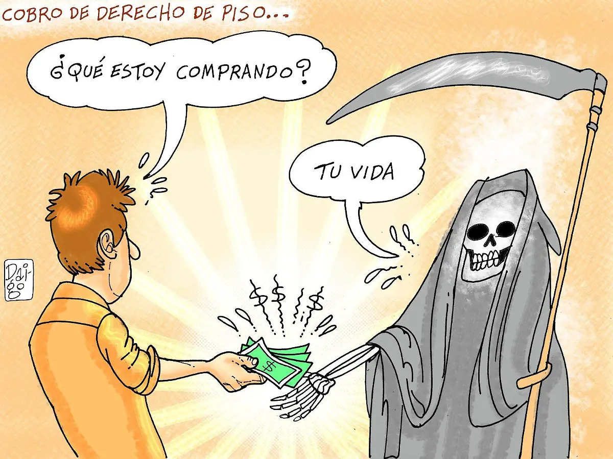 WhatsApp Image 2025-11-20 at 15.53.42