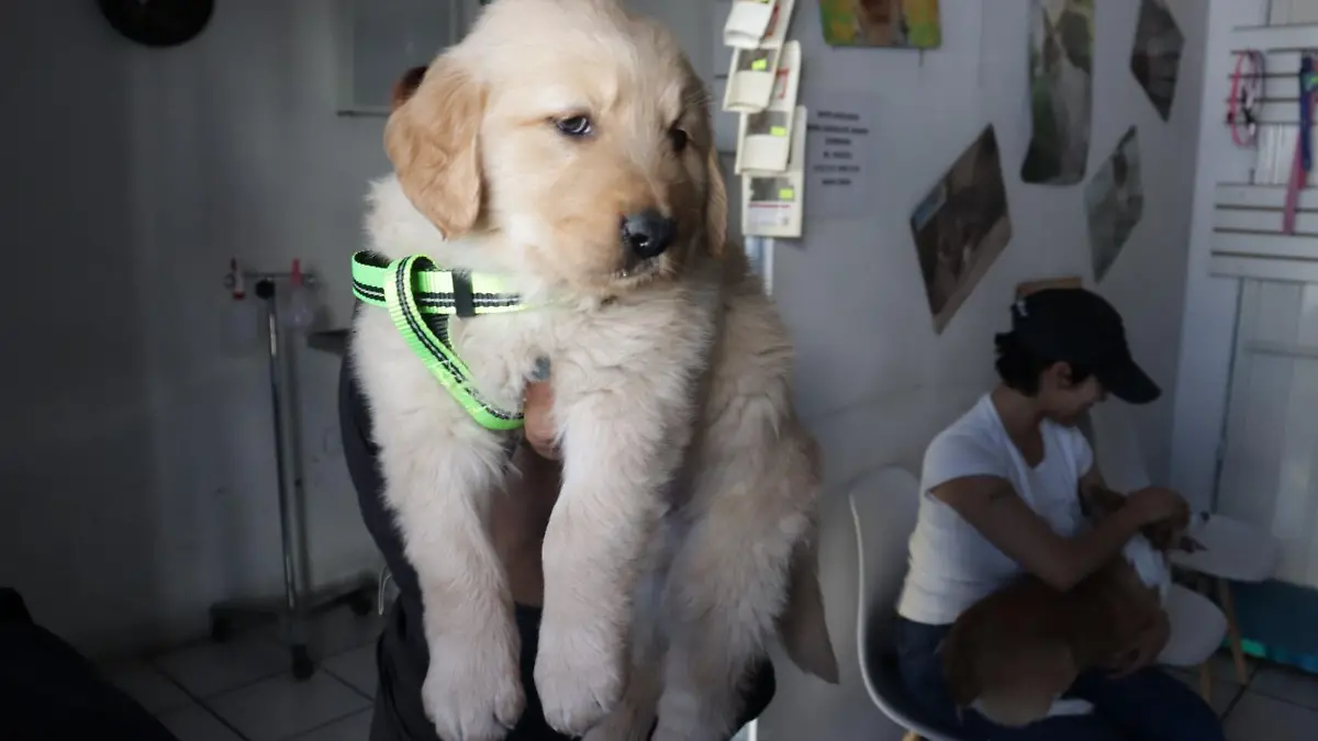 WhatsApp Image 2025-11-20 at 20.18.21 (2)