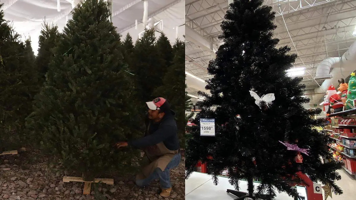 arbol de navidad natural vs artificial, con cuál te quedas 