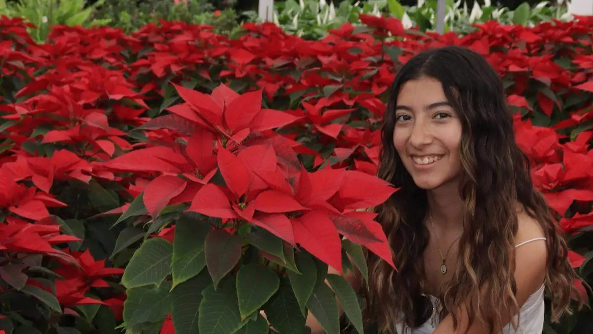 Vivero Cabrera, un lugar donde la nochebuena es el eje de la vida 