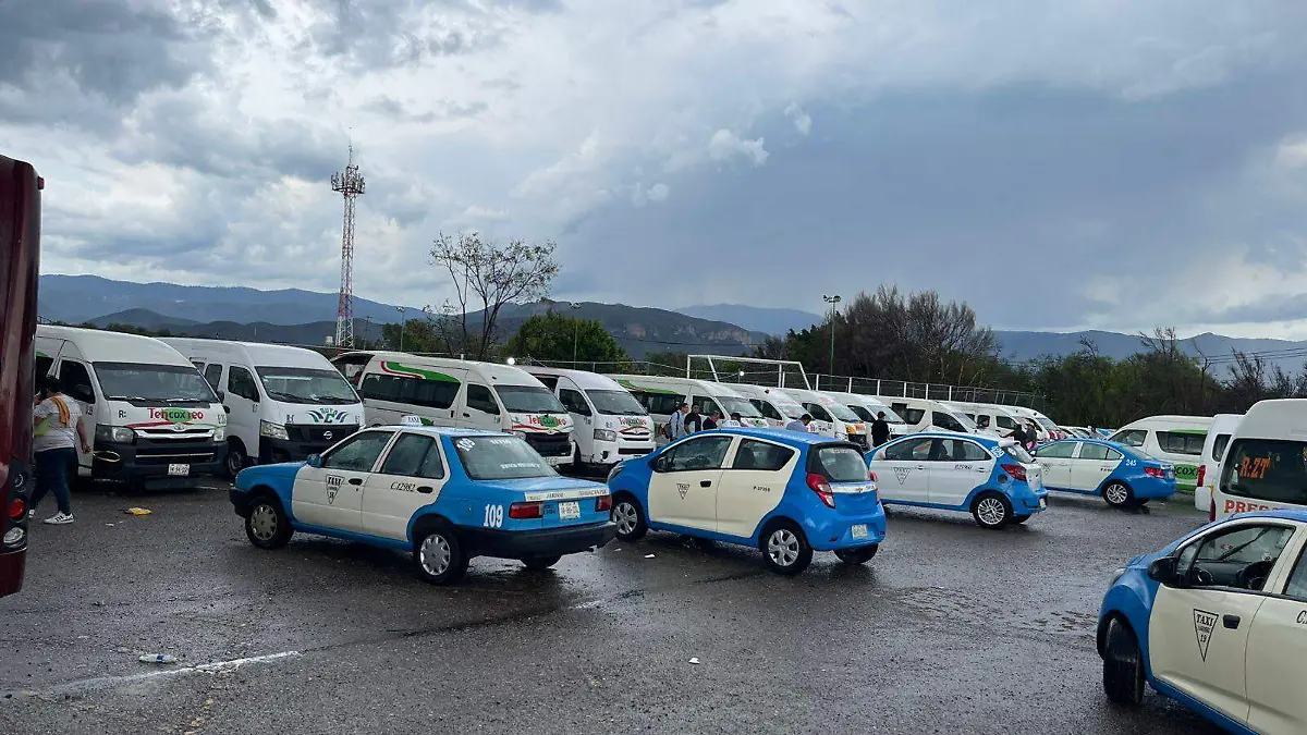 WhatsApp Image 2025-11-30 at 16.19.42