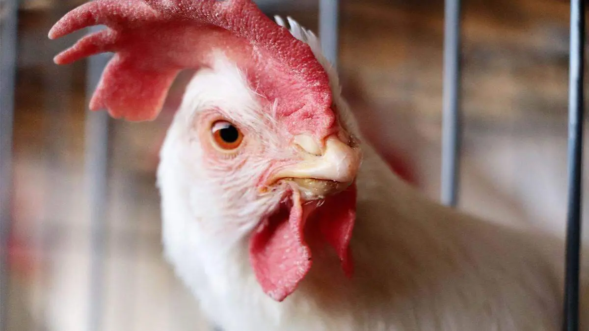 El alertamiento fue compartido durante los primeros días de este último mes del año