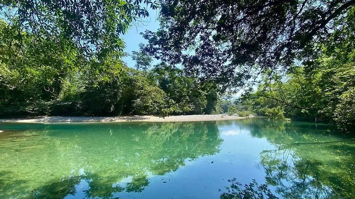 Resistencia en la Sierra Negra: La unión nahua que venció a una hidroeléctrica