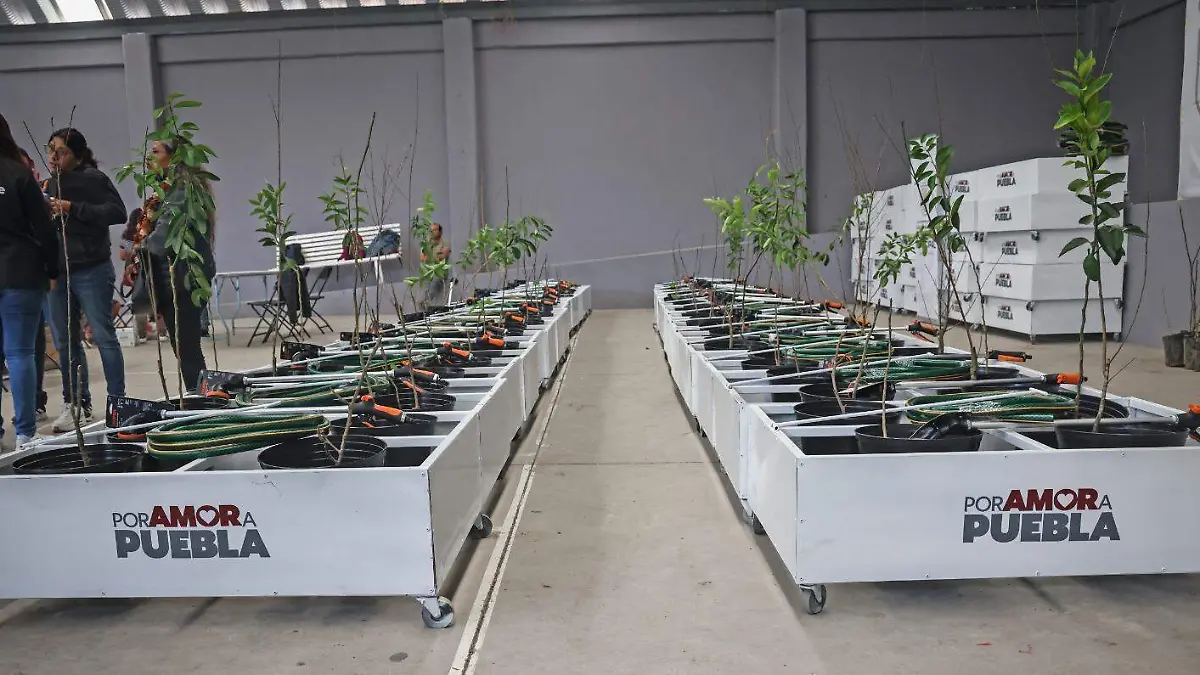 WhatsApp Image 2025-12-09 at 3.31.16 PM