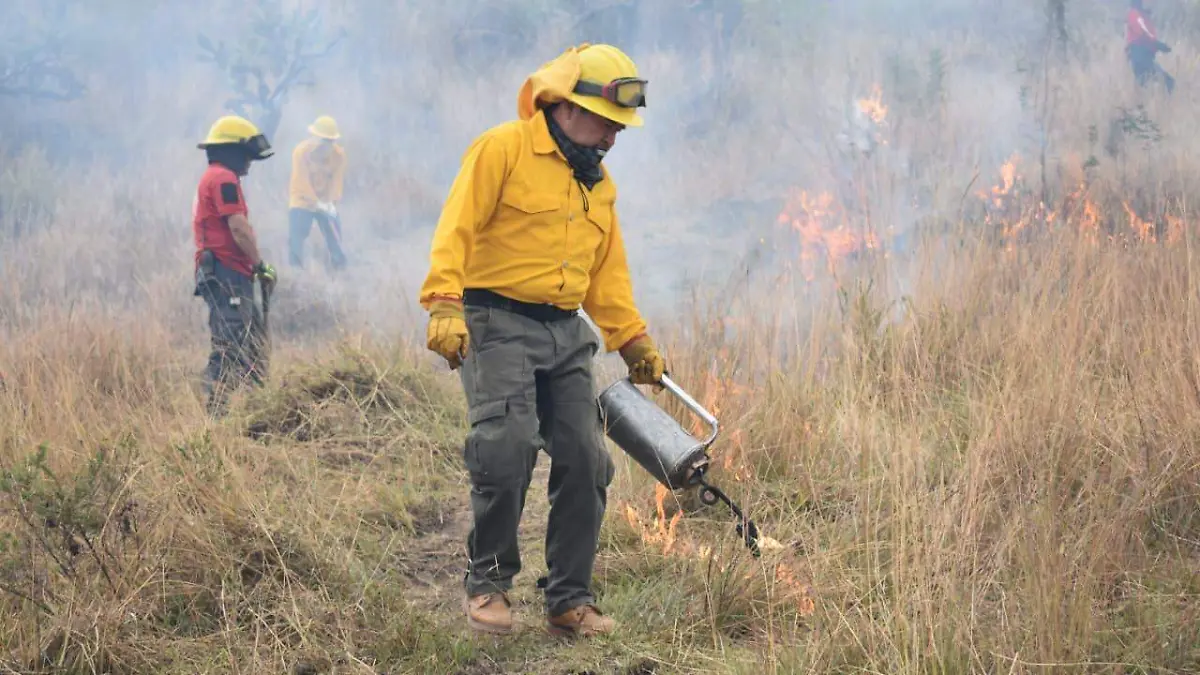 WhatsApp Image 2025-12-09 at 3.26.16 PM