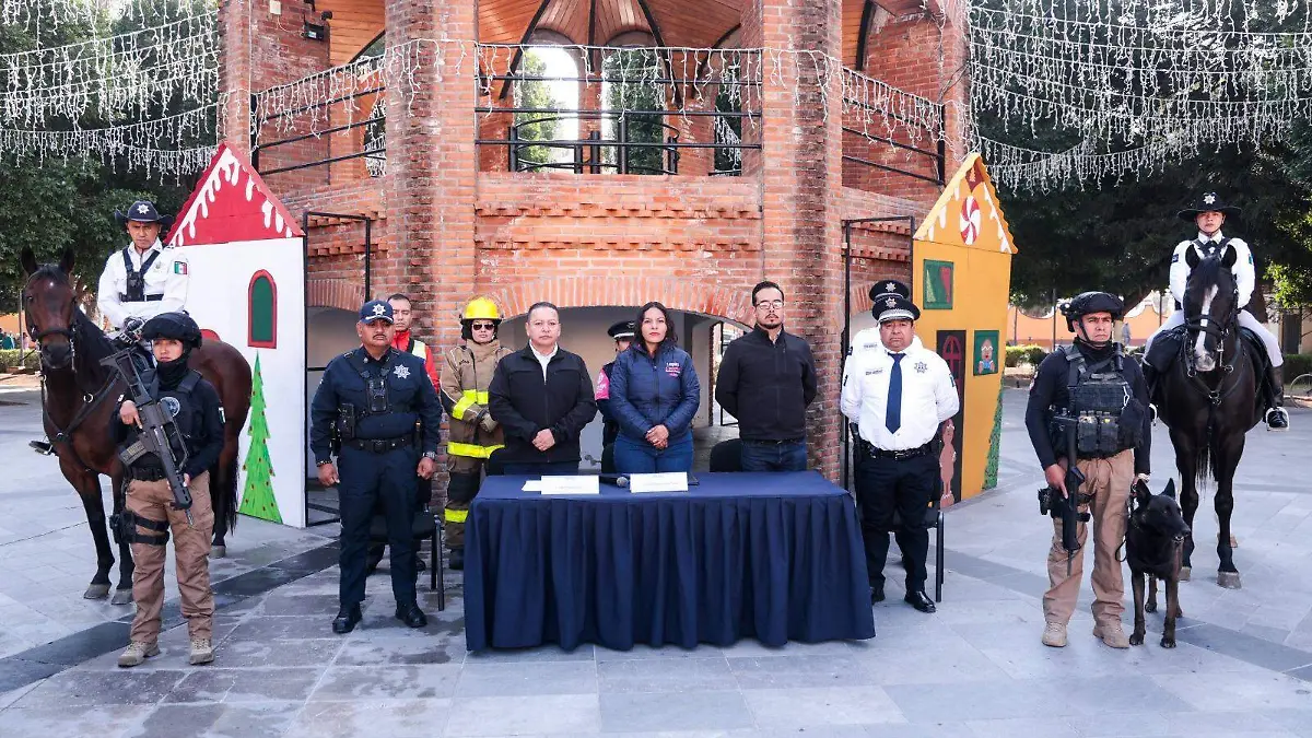 WhatsApp Image 2025-12-10 at 14.52.49