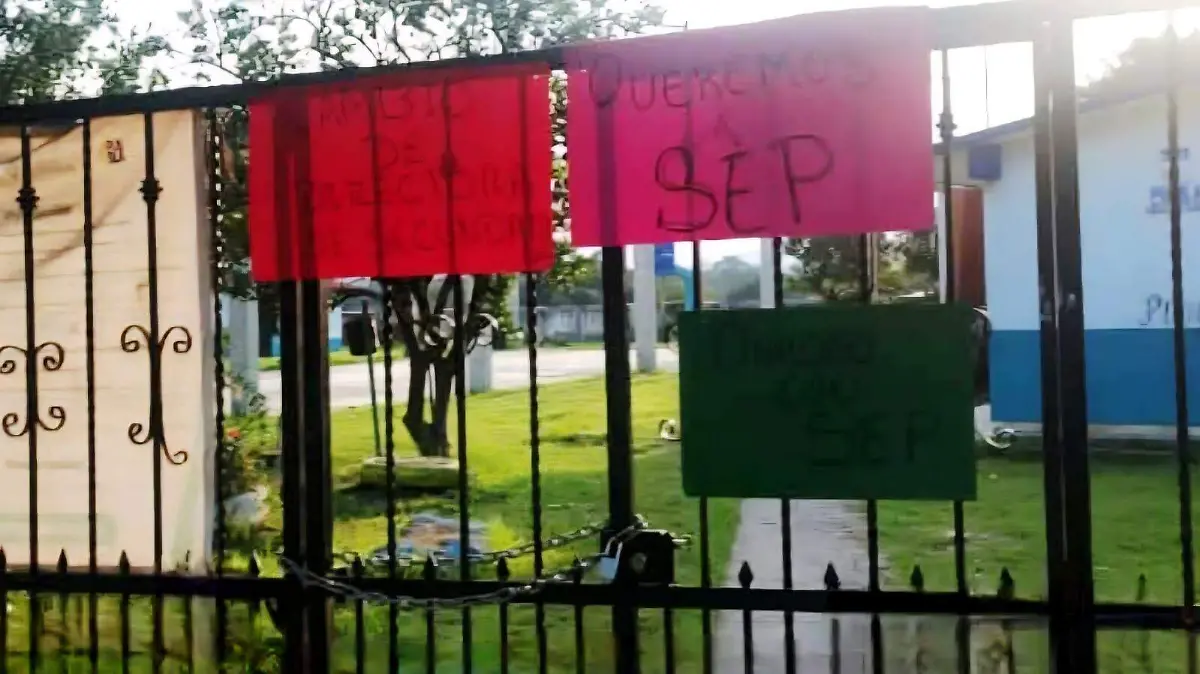 WhatsApp Image 2025-12-10 at 12.59.07 PM