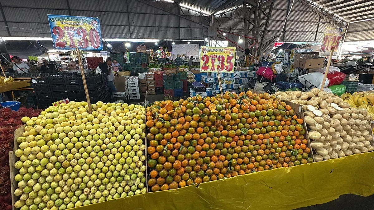 WhatsApp Image 2025-12-12 at 14.52.26