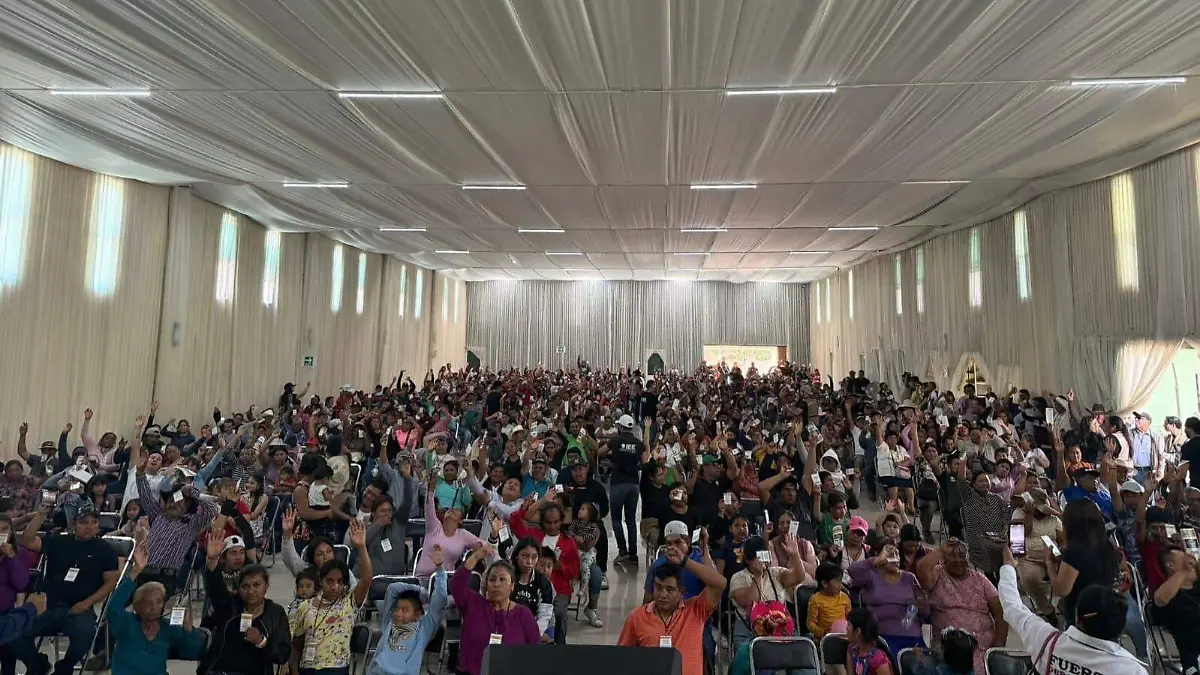 WhatsApp Image 2025-12-14 at 12.50.19