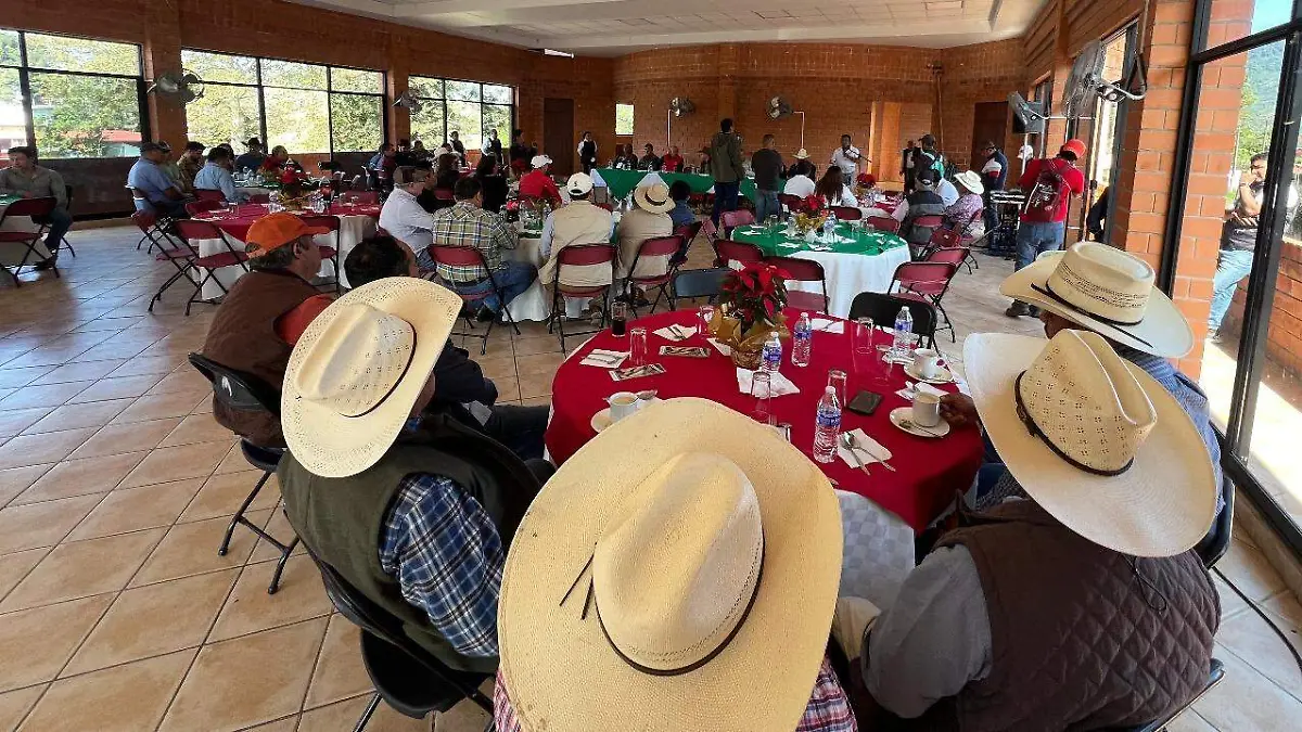 WhatsApp Image 2025-12-11 at 15.52.18