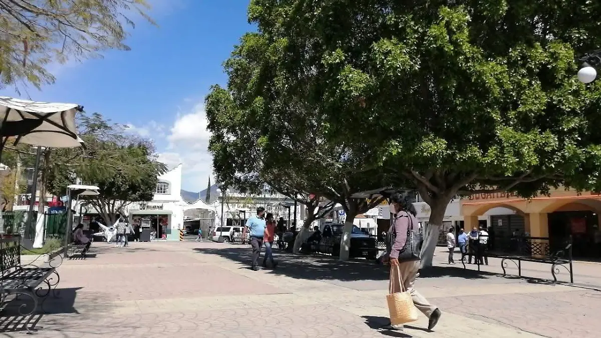 WhatsApp Image 2025-12-15 at 15.55.44