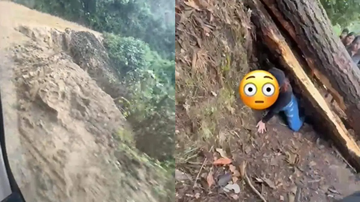 Deben pasar por troncos 