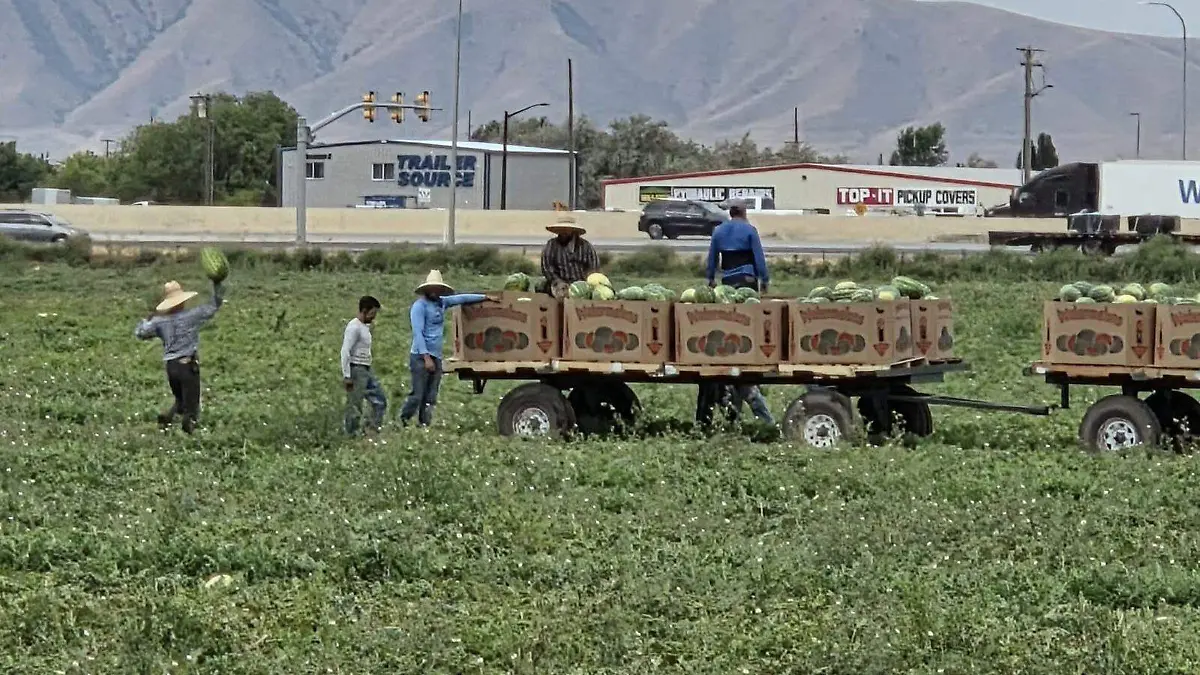 WhatsApp Image 2025-12-17 at 18.53.28