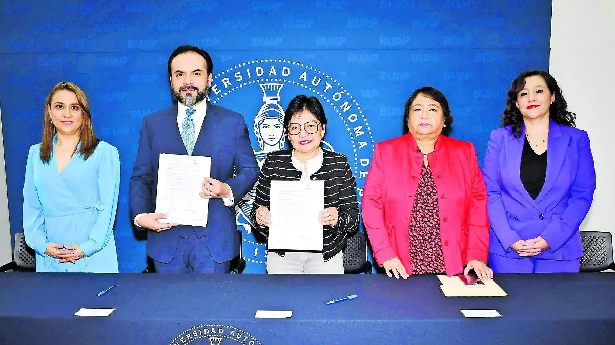 WhatsApp Image 2025-12-18 at 4.50.11 PM