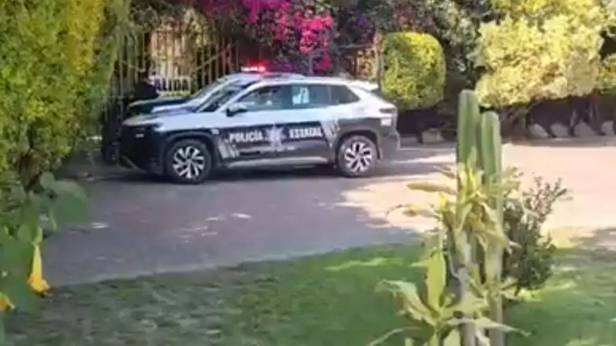 WhatsApp Image 2025-12-19 at 16.39.13