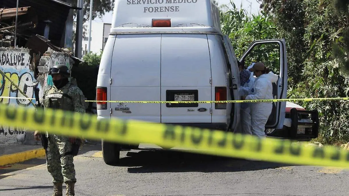 WhatsApp Image 2025-12-20 at 1.20.28 PM