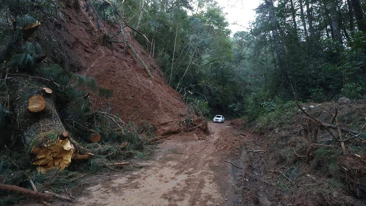 El delegado de la SICT explicó que actualmente se elaboran los proyectos ejecutivos de los primeros tramos
