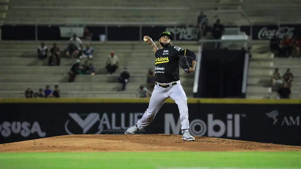 WhatsApp Image 2025-12-22 at 2.39.19 PM