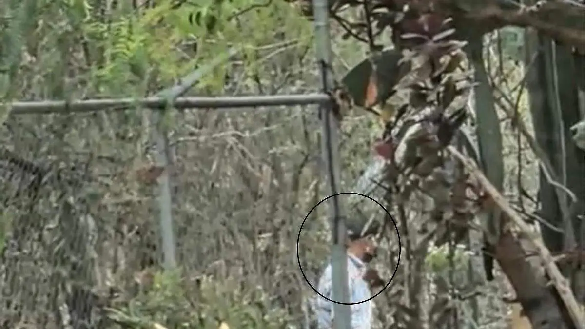 exhibisionsista tehuacán