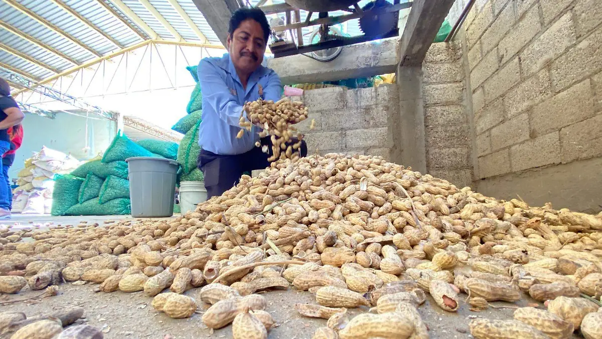 WhatsApp Image 2025-12-23 at 7.07.33 PM (1)