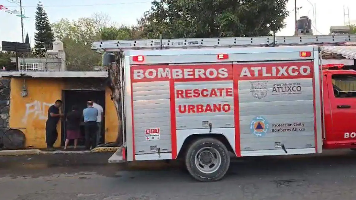 WhatsApp Image 2025-12-24 at 09.37.21