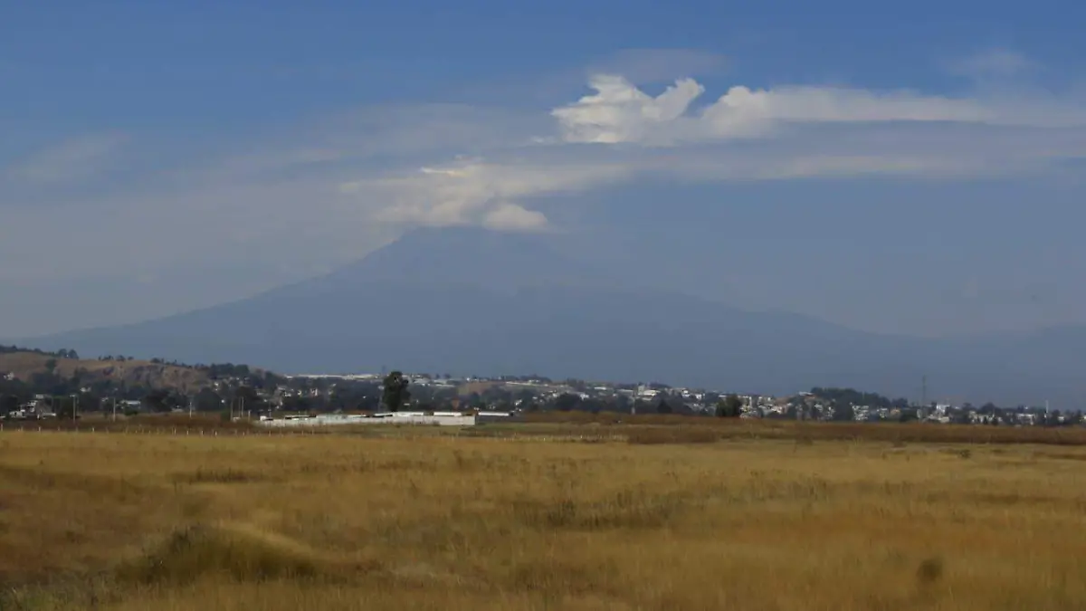 WhatsApp Image 2025-12-21 at 12.09.03 PM