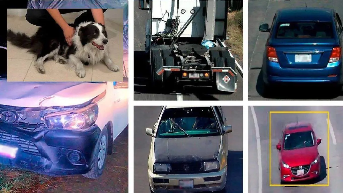 WhatsApp Image 2025-12-25 at 3.27.13 PM