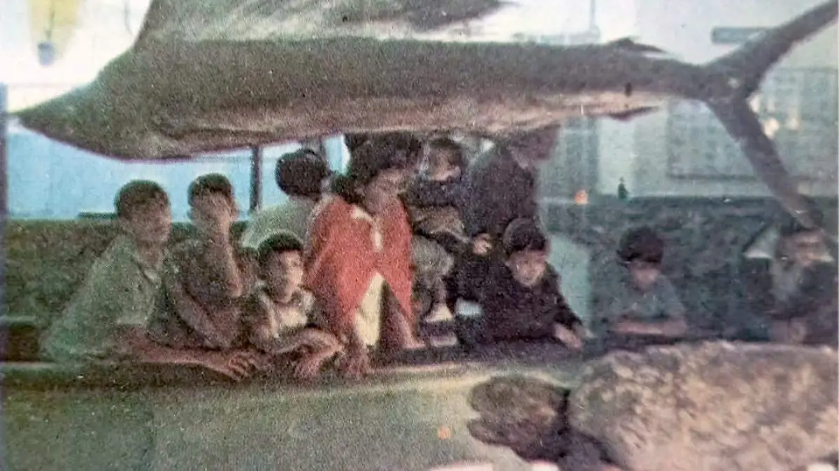 WhatsApp Image 2025-12-26 at 15.48.42