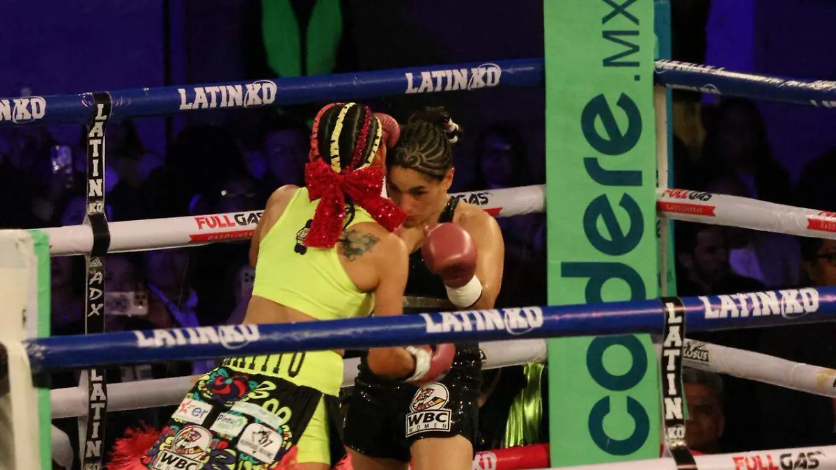 WhatsApp Image 2025-12-28 at 11.17.57 AM