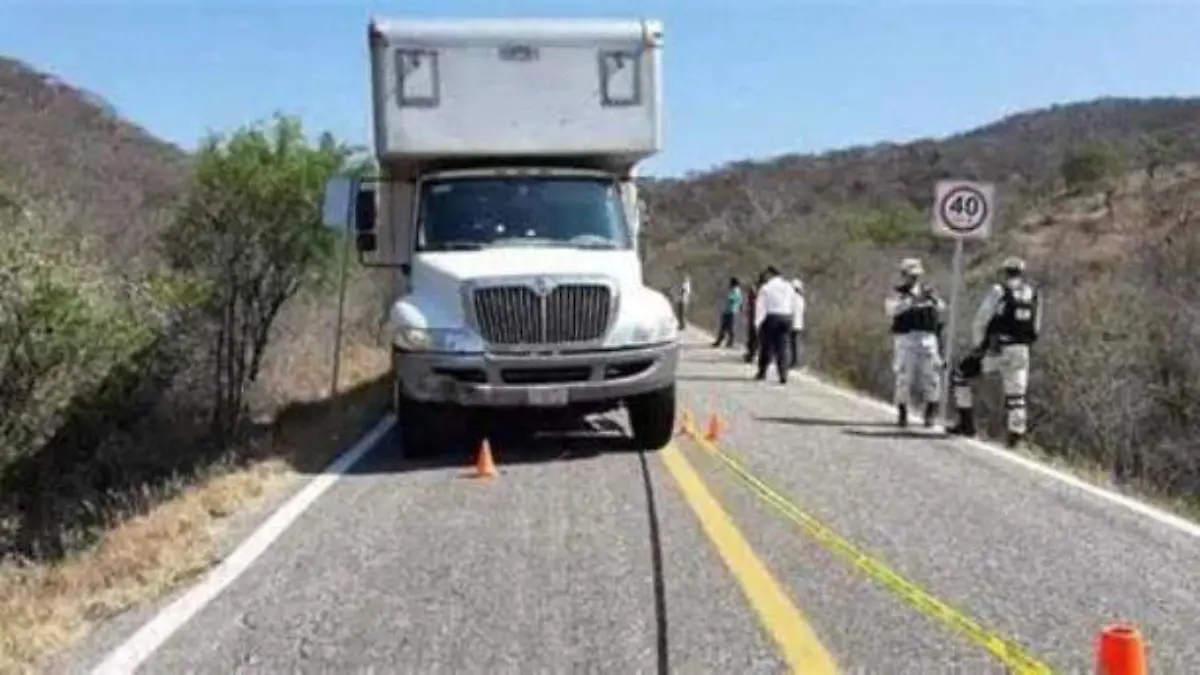 WhatsApp Image 2025-12-29 at 10.02.18 AM