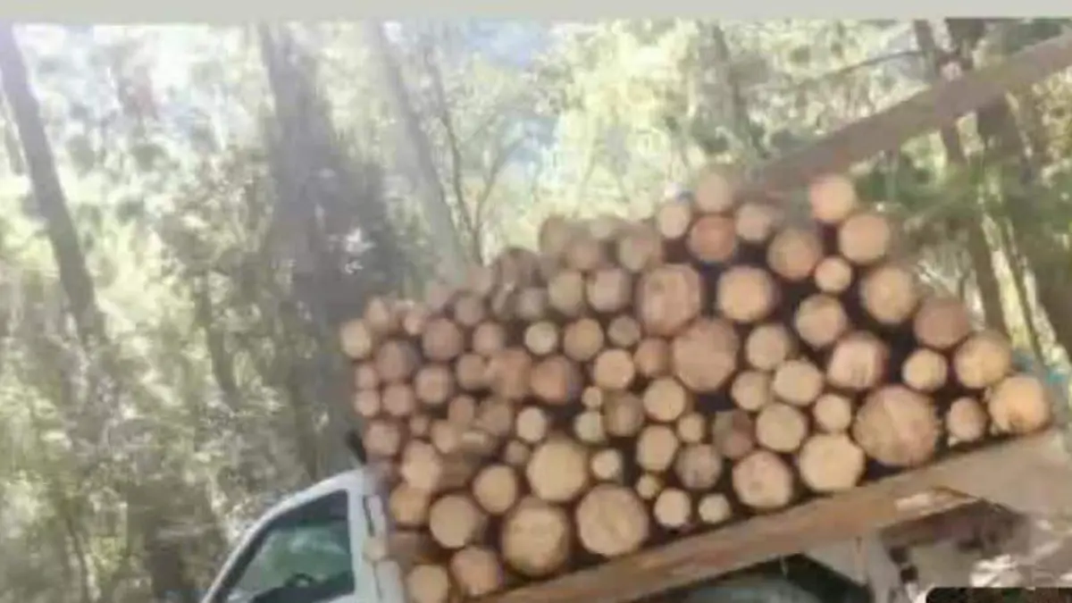 WhatsApp Image 2025-12-29 at 15.00.48