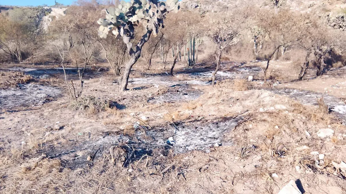 WhatsApp Image 2025-12-29 at 15.21.58