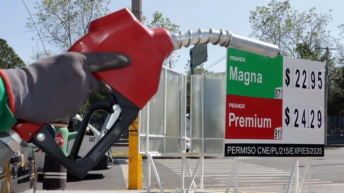 WhatsApp Image 2025-12-30 at 7.39.47 PM (1)