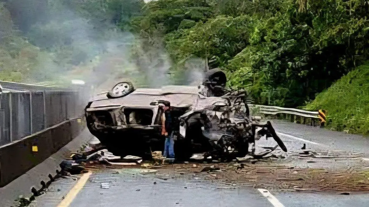 WhatsApp Image 2025-12-30 at 8.52.44 PM