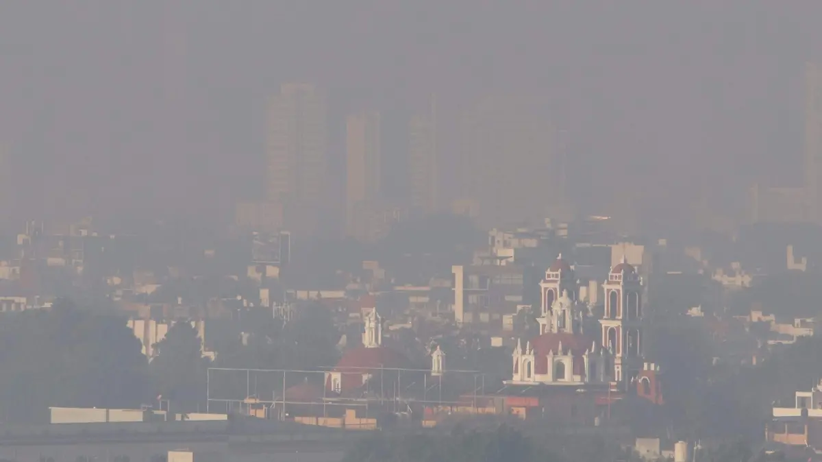 WhatsApp Image 2026-01-01 at 08.31.46