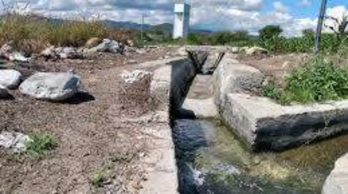 WhatsApp Image 2026-01-01 at 14.18.42