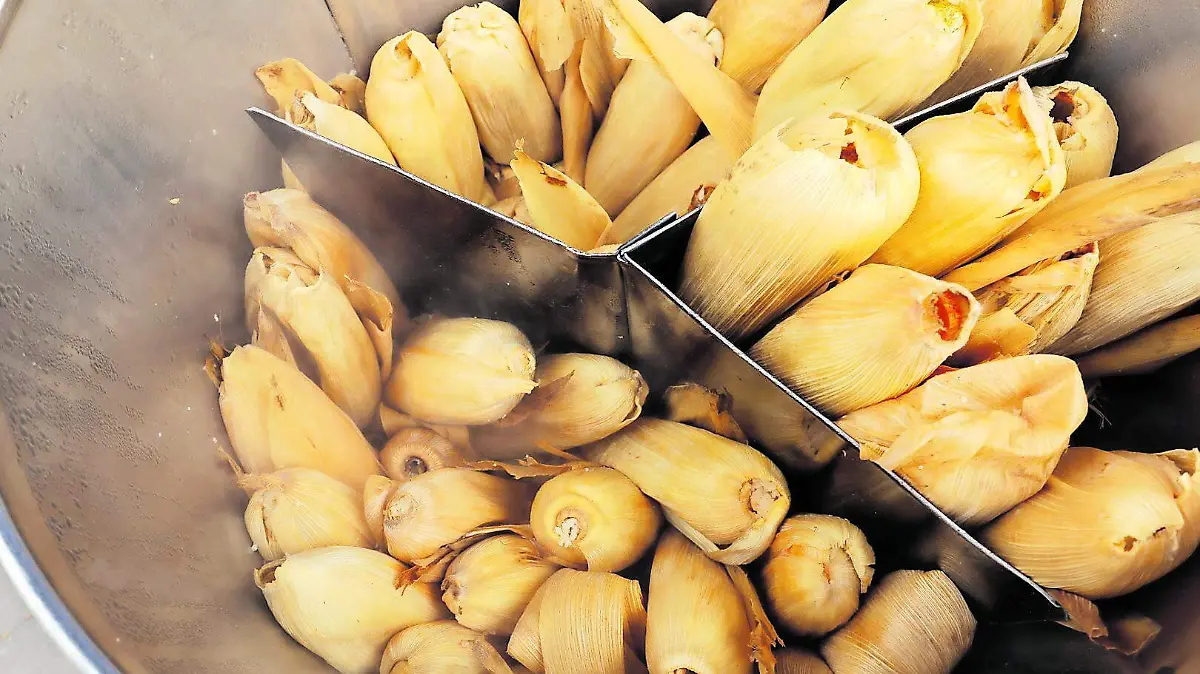 tamales 2 bibiana_CMYK